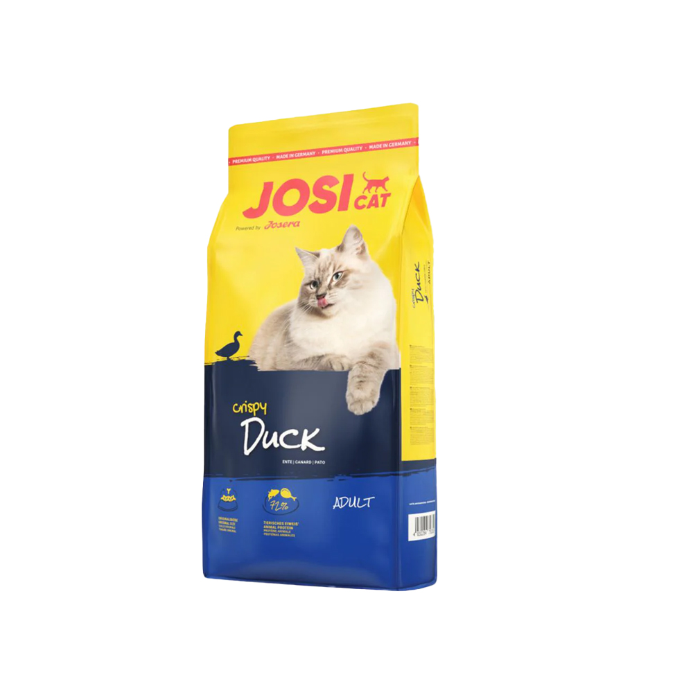 جوسي كات كريسبي داك بالبط