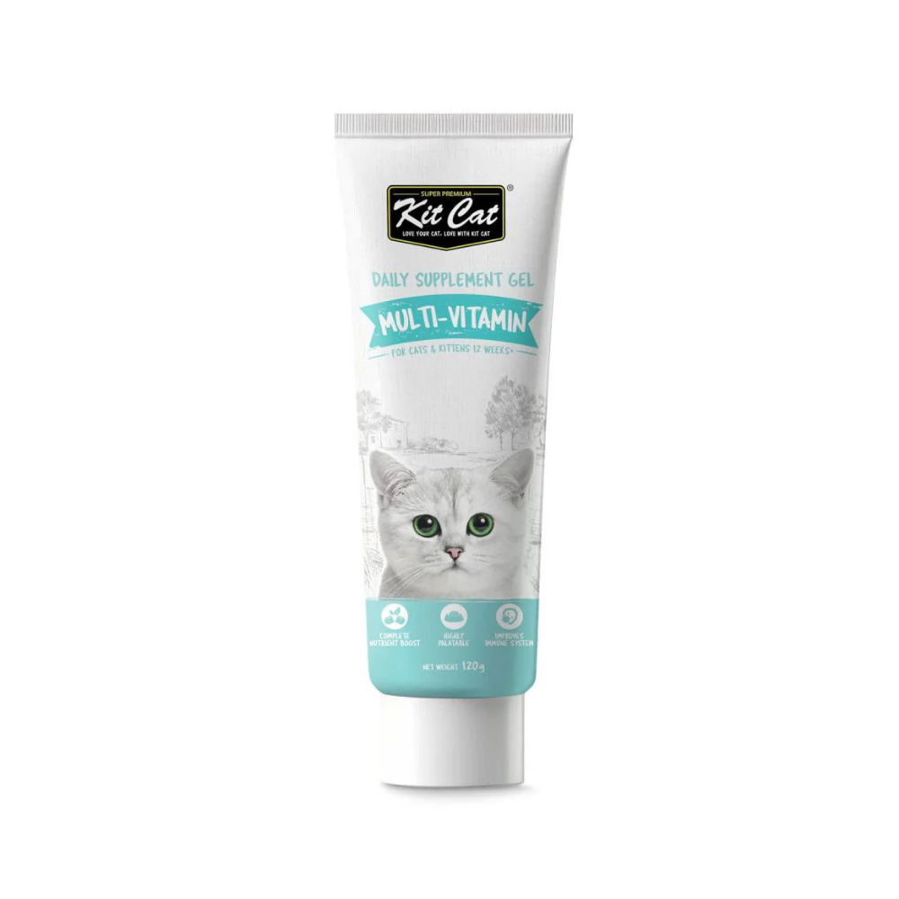 Kitten Quality Bundle