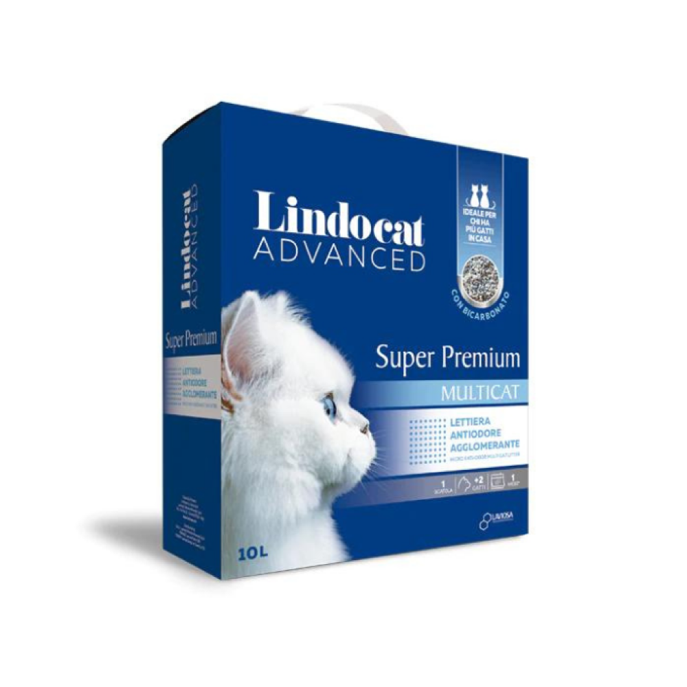 Kittens Bundle