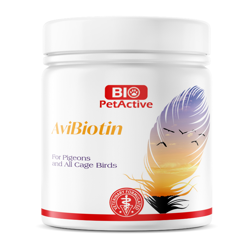 bio petactive avibiotin biotin supplement for birds